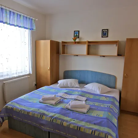 Guest house Maxim 3*