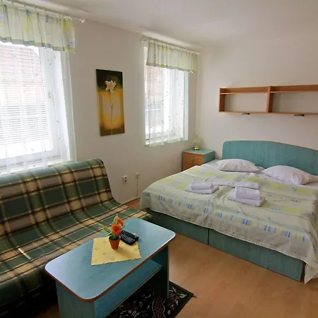 Maxim Guest house 3*