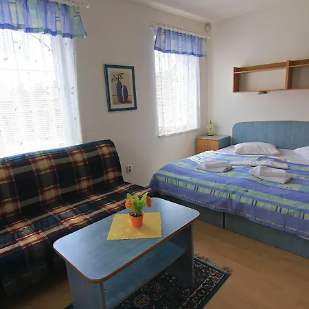 Guest house Maxim 3*