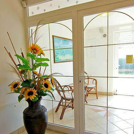 Guest house Maxim 3*